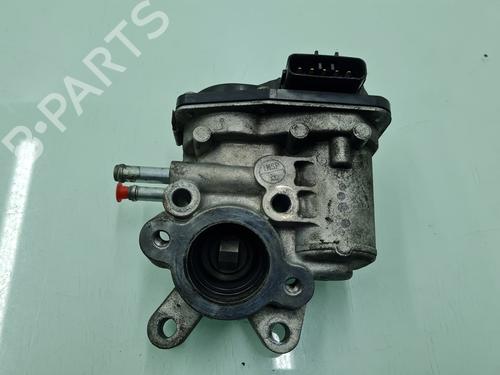 Egr NISSAN PATHFINDER III (R51)  | BP21649141M69 