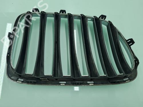 Grille BMW X1 (E84) sDrive 20 d | BP21641010C40 