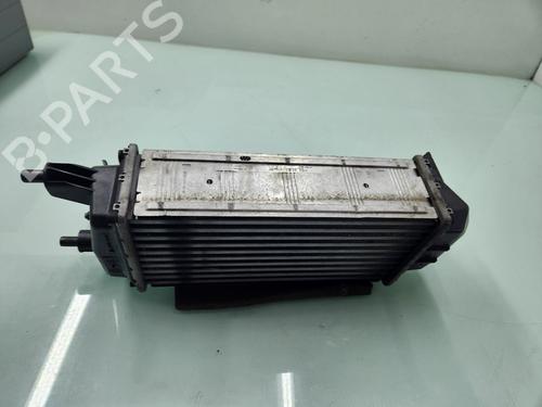 Intercooler FORD FIESTA VII (HJ, HF)  | BP21650080M30 