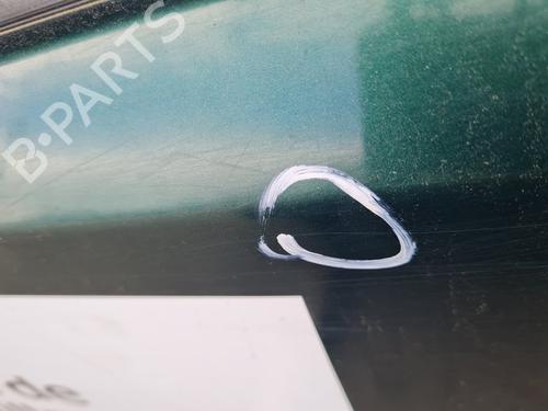 Left front door NISSAN PATHFINDER III (R51)  | BP21649452C2 
