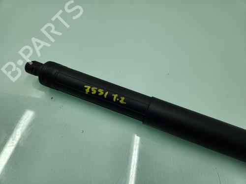 Tailgate lift support BMW X5 (F15, F85) xDrive 40 d | BP25868328C138