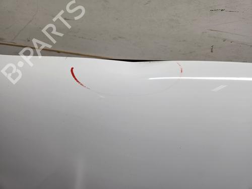 Hood FORD KUGA II (DM2) 2.0 TDCi | BP23898672C1 