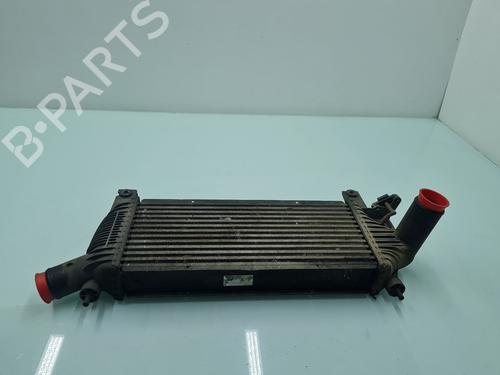 Used Intercooler Intercooler NISSAN PATHFINDER III (R51) 2.5 dCi 4WD (174 hp) 21649433 21649433