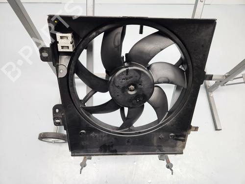 Radiator fan CITROËN C3 II (SC_) | BP31965846M35