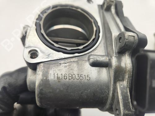 Throttle body RENAULT KANGOO / GRAND KANGOO II (KW0/1_) | BP30672132M82