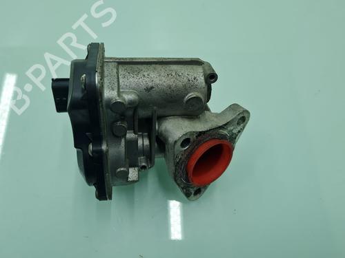 Egr NISSAN JUKE (F15)  | BP21643070M69 