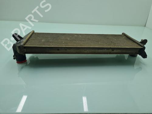Intercooler LAND ROVER DEFENDER Station Wagon (L316) 2.5 Td5 4x4 (L316) | BP21653337M30 