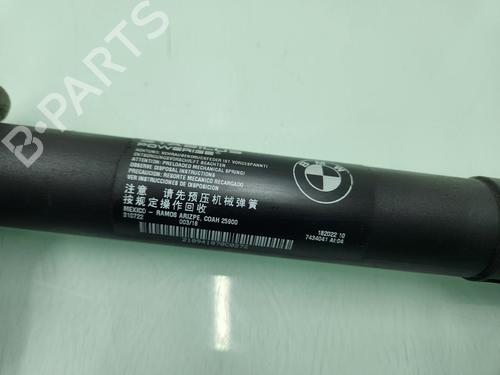 Tailgate lift support BMW X5 (F15, F85) xDrive 40 d | BP25868328C138