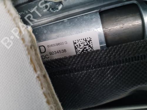 Used Right curtain airbag RENAULT LAGUNA III (BT0/1) 2.0 16V (BT05, BT0F, BT0W) (140 hp) 29022354