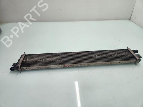 Water radiator OPEL MOVANO B Van (X62) 2.3 CDTI FWD (FV) | BP21653496M31 - Image 1