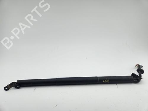 Used Tailgate lift support Tailgate lift support FORD KUGA II VAN 2.0 TDCi (120 hp) 34401363 34401363