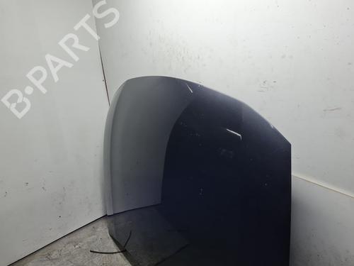 Hood LEXUS GS (_S19_)  | BP21766495C1 