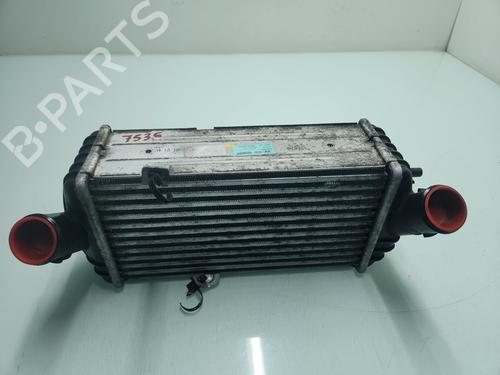 Used Intercooler HYUNDAI i20 II (GB, IB) [2014-2021]  25052305