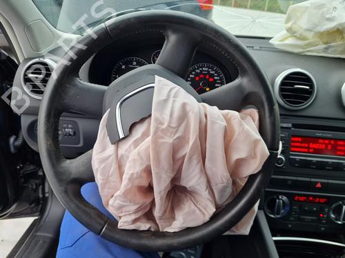 Used Steering wheel AUDI A3 Sportback (8PA) 1.9 TDI (105 hp) 21646244