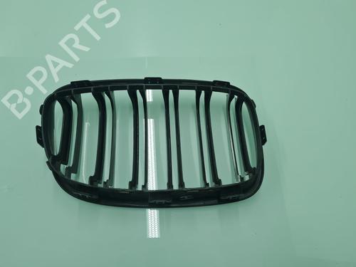 Grille BMW 1 (F20) 118 d | BP21640098C40 