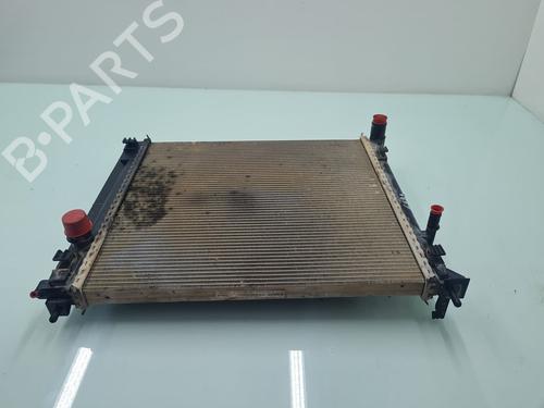 Used Water radiator Water radiator NISSAN NV200 / EVALIA Bus [2010-2026] 21653933 21653933