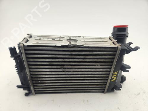 Intercooler NISSAN QASHQAI II (J11, J11_) [2013-2025]  30695500