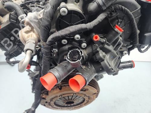 Engine SEAT ARONA (KJ7, KJP)  | BP33543315M1  - Image 9