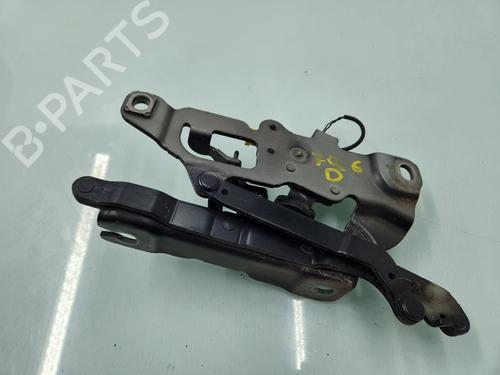 Hinge/Door check strap BMW 5 Touring (F11) 520 d xDrive | BP26144165C146 