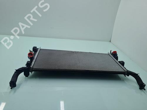 Water radiator RENAULT LAGUNA III (BT0/1)  | BP21657287M31 