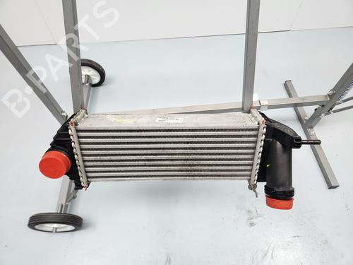 Intercooler RENAULT KANGOO / GRAND KANGOO II (KW0/1_) [2008-2025]  29932897