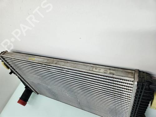 Intercooler AUDI A3 Sportback (8PA) 1.6 TDI | BP21656635M30 