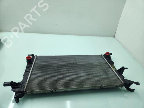 Køler RENAULT MEGANE III Hatchback (BZ0/1_, B3_) 1.5 dCi (BZ09, BZ0D, BZ1W, BZ29, BZ14) (110 hp) 22387029