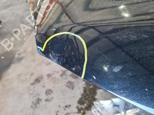 Hood BMW X1 (F48) sDrive 16 d | BP29418768C1 