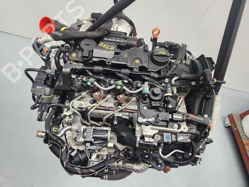 Used Engine Engine CITROËN C3 II (SC_) [2009-2026] 31924304 31924304