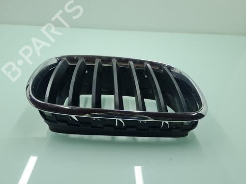 Grille BMW X5 (E70) xDrive 30 d | BP21655556C40 