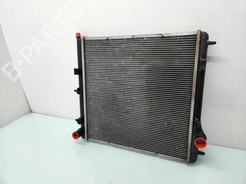 Used Water radiator Water radiator PEUGEOT 208 I (CA_, CC_) [2012-2021] 25017215 25017215