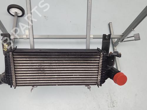 Intercooler NISSAN PATHFINDER III (R51) | BP36161986M30 - Image 2