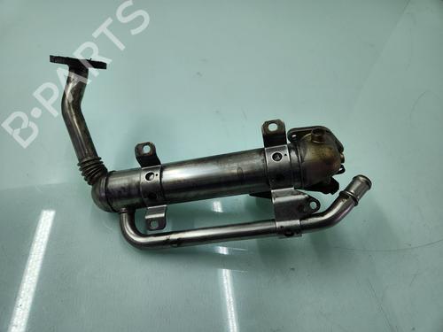 Egr AUDI A3 (8P1) 1.9 TDI | BP25339460M69 