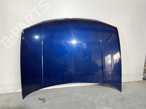 Used Hood VW GOLF IV (1J1) 1.9 TDI (110 hp) 21661231