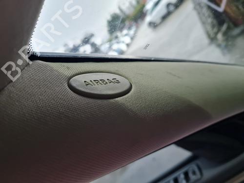 Used Left curtain airbag LAND ROVER RANGE ROVER SPORT I (L320) [2005-2013]  24220371