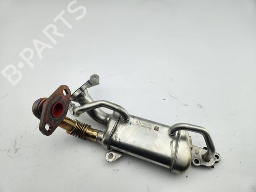 Used Egr RENAULT KANGOO / GRAND KANGOO II (KW0/1_) [2008-2025]  30672141