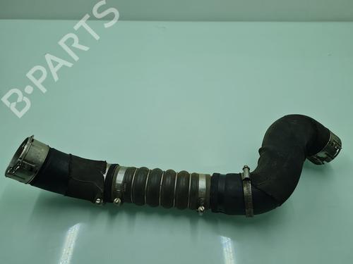 Andre FORD RANGER (TKE) [2011-2025]  21642244