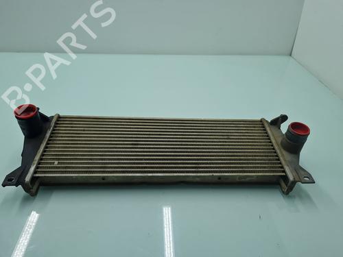 Used Intercooler LAND ROVER DEFENDER Station Wagon (L316, L315) 2.5 Td5 4x4 (L316) (122 hp) 21654355