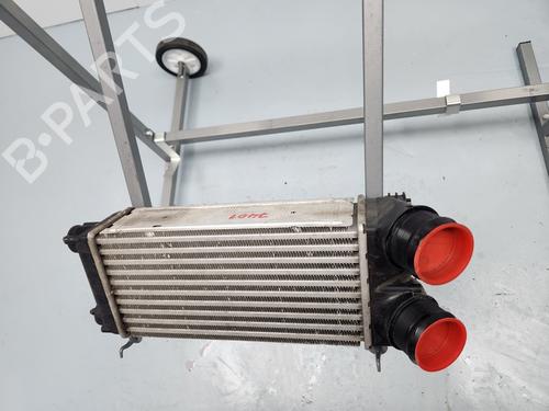 Used Intercooler Intercooler DS DS 4 / DS 4 CROSSBACK (NX_) 1.6 THP 165 (165 hp) 29722617 29722617