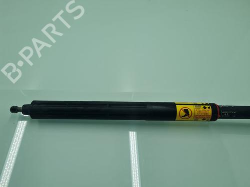 Tailgate lift support TOYOTA LAND CRUISER PRADO (_J15_)  | BP21638328C138 