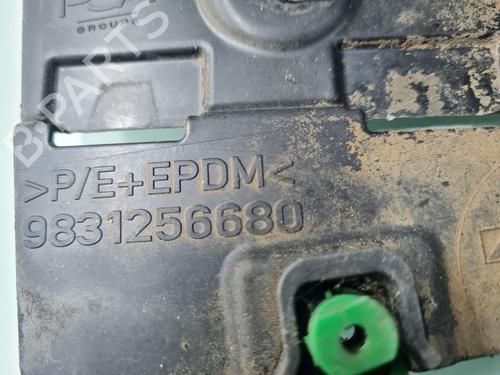 Wheel arch CITROËN C4 III (BA_, BB_, BC_)  | BP21766073C56 