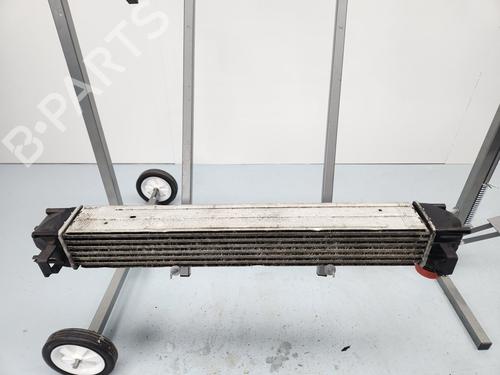 Intercooler RENAULT MEGANE III Grandtour (KZ0/1)  | BP29728598M30 