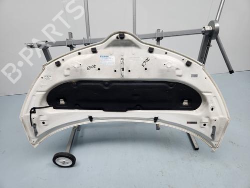 Hood TOYOTA URBAN CRUISER (_P1_)  | BP30061596C1 