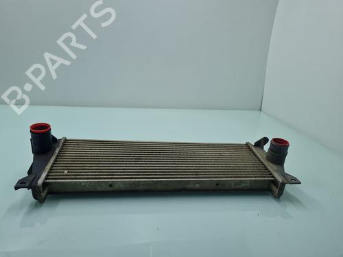Intercooler LAND ROVER DEFENDER Station Wagon (L316, L315) 2.5 Td5 4x4 (L316) | BP21654355M30 