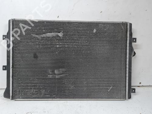 Køler VW PASSAT B6 (3C2)  | BP21661118M31 