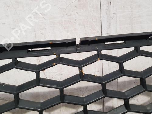 Grille LAND ROVER FREELANDER 2 (L359) 2.2 TD4 4x4 | BP30364963C40