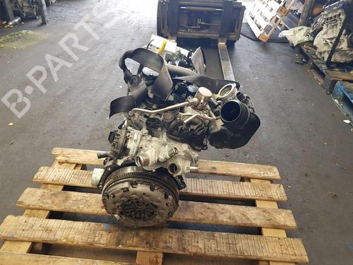 Engine SKODA OCTAVIA IV (NX3, NN3, PV3)  | BP30137981M1  - Image 5