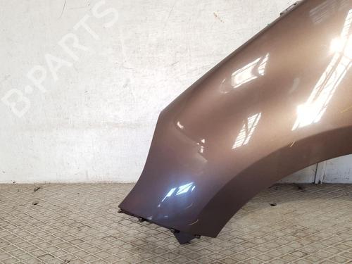 Left front fenders RENAULT SCÉNIC III (JZ0/1_) 1.5 dCi | BP27150789C41 