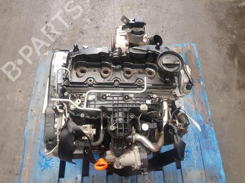 Used Engine SKODA FABIA II (542) 1.6 TDI (105 hp) 30364884