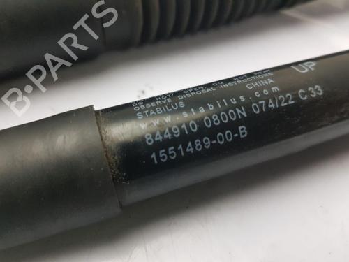Tailgate lift support TESLA MODEL 3 (5YJ3) EV AWD | BP35746039C138 - Image 5